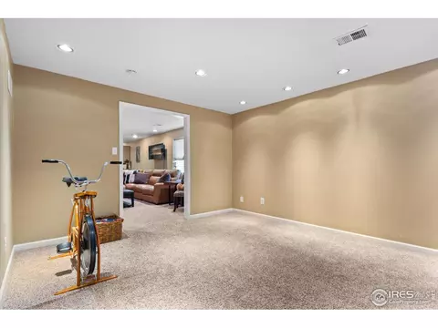 879 Emerald Dr, Windsor, CO 80550 photo 28