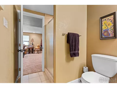 879 Emerald Dr, Windsor, CO 80550 photo 30
