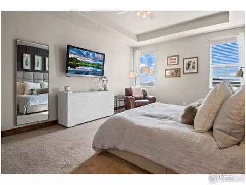6012 Maidenhead Dr, Windsor, CO 80550 photo 21