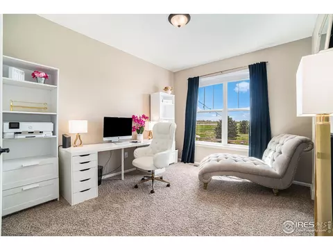 5533 Morgan Way, Longmont, CO 80504 photo 16