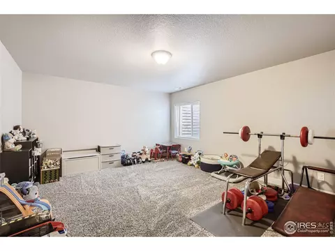 983 Mt Andrew Dr, Severance, CO 80550 photo 22