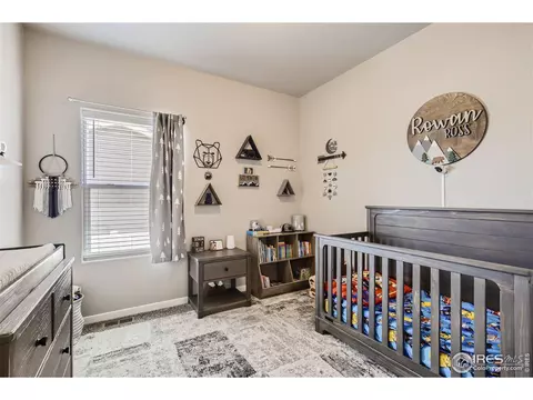 983 Mt Andrew Dr, Severance, CO 80550 photo 19