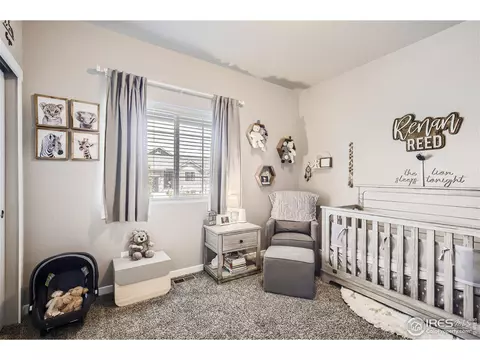983 Mt Andrew Dr, Severance, CO 80550 photo 15
