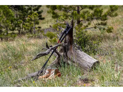 0 Hwy 7, Lyons, CO 80540 photo 8