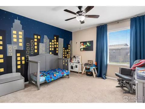 328 Central Ave, Severance, CO 80550 photo 16