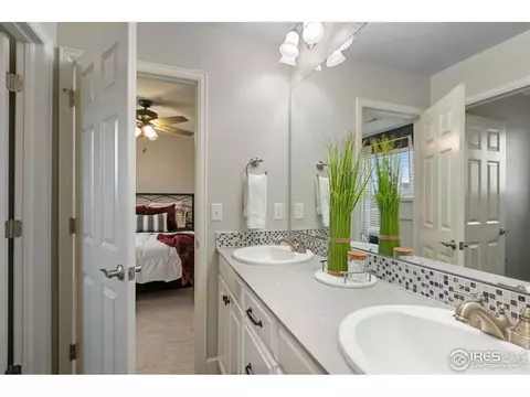 168 Halibut Dr, Windsor, CO 80550 photo 23