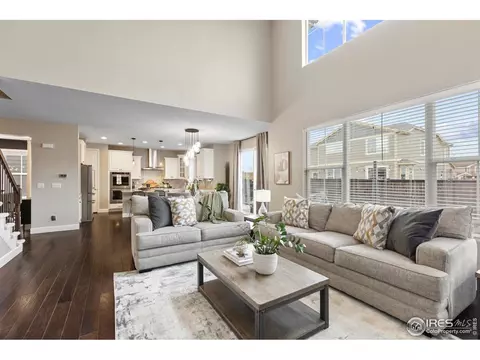 168 Halibut Dr, Windsor, CO 80550 photo 5