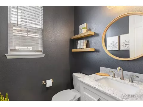168 Halibut Dr, Windsor, CO 80550 photo 17
