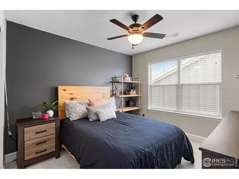 168 Halibut Dr, Windsor, CO 80550 photo 25