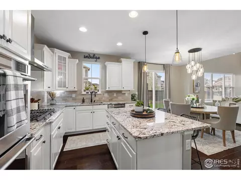 168 Halibut Dr, Windsor, CO 80550 photo 10
