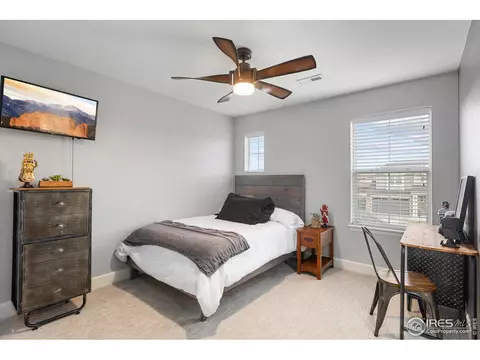168 Halibut Dr, Windsor, CO 80550 photo 22
