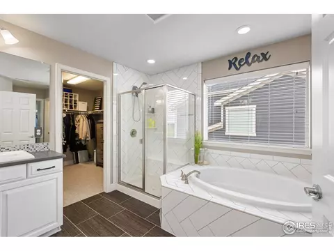 168 Halibut Dr, Windsor, CO 80550 photo 21