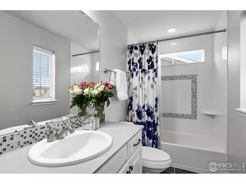 168 Halibut Dr, Windsor, CO 80550 photo 26