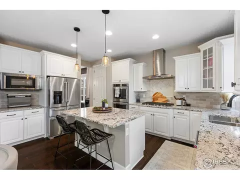 168 Halibut Dr, Windsor, CO 80550 photo 12