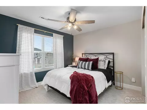 168 Halibut Dr, Windsor, CO 80550 photo 24
