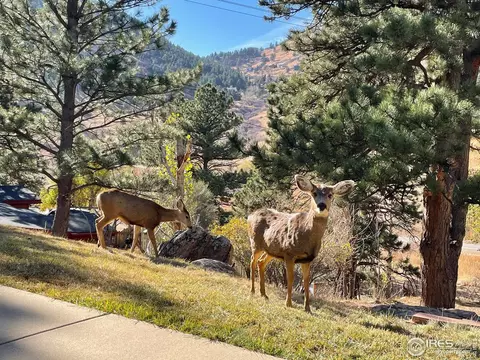 1224 Lee Hill Dr, Boulder, CO 80302 photo 33
