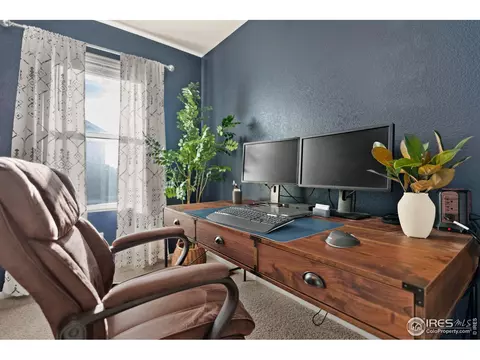 329 Central Ave, Severance, CO 80550 photo 27