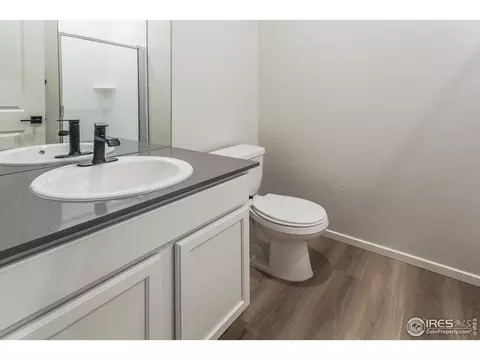2116 Falling Leaf Dr #1, Windsor, CO 80550 photo 19