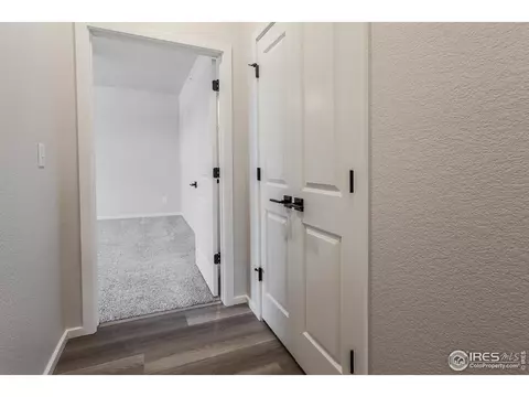 2116 Falling Leaf Dr #1, Windsor, CO 80550 photo 27