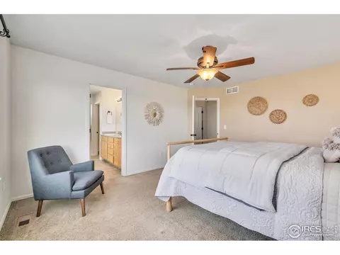 602 Park Edge Cir, Windsor, CO 80550 photo 17