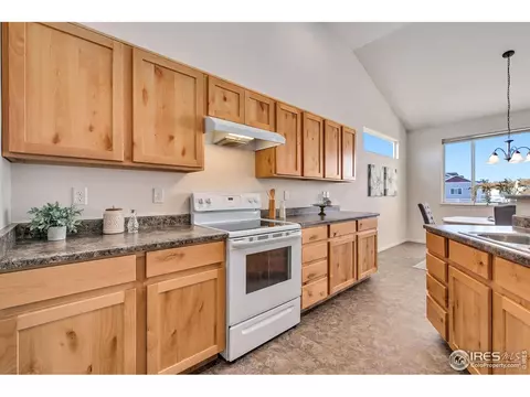 602 Park Edge Cir, Windsor, CO 80550 photo 9