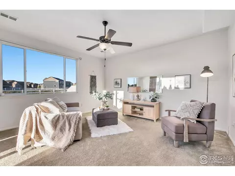 602 Park Edge Cir, Windsor, CO 80550 photo 12