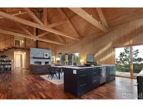 1193 Rowell Dr, Lyons, CO 80540 photo 3