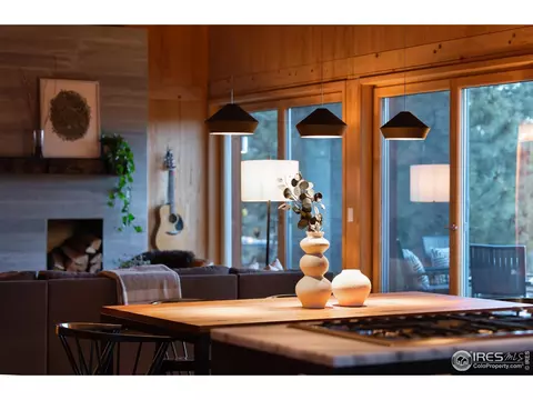 1193 Rowell Dr, Lyons, CO 80540 photo 5