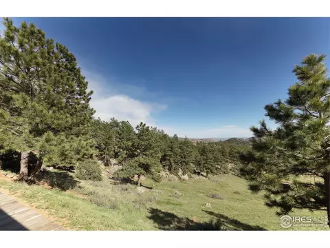 1193 Rowell Dr, Lyons, CO 80540 photo 34