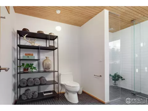 1193 Rowell Dr, Lyons, CO 80540 photo 23