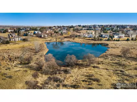 627 Poudre Pl, Windsor, CO 80550 photo 36