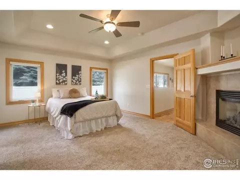 565 Mount Massive St, Berthoud, CO 80513 photo 28