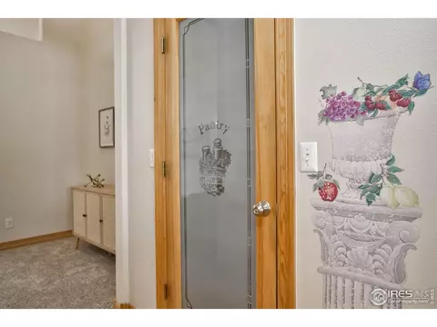 565 Mount Massive St, Berthoud, CO 80513 photo 13