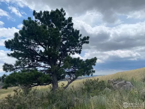 261 Bear Hollow Rd, Laporte, CO 80535 photo 3