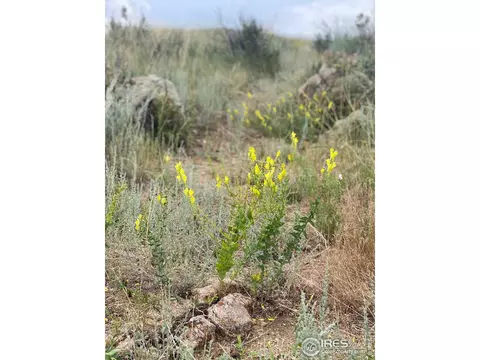 261 Bear Hollow Rd, Laporte, CO 80535 photo 24