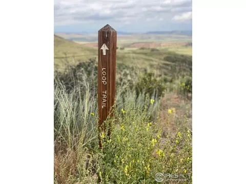 261 Bear Hollow Rd, Laporte, CO 80535 photo 7