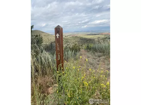 261 Bear Hollow Rd, Laporte, CO 80535 photo 19