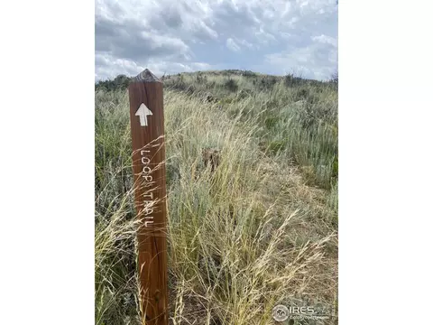 261 Bear Hollow Rd, Laporte, CO 80535 photo 22