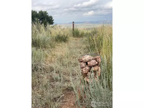 261 Bear Hollow Rd, Laporte, CO 80535 photo 20