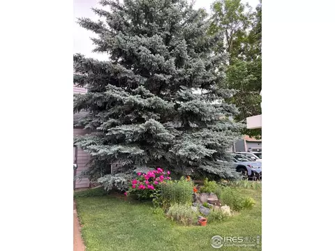 84 Huron Ct, Boulder, CO 80303 photo 2