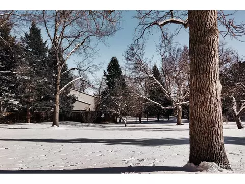 870 Juniper Ave, Boulder, CO 80304 photo 7