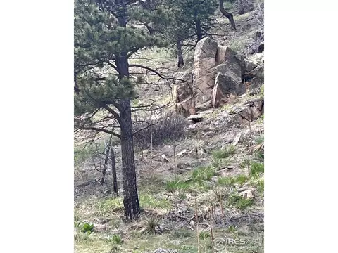 7400 Fourmile Canyon Dr, Boulder, CO 80302 photo 4