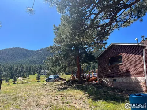 545 Pinewood Dr, Lyons, CO 80540 photo 31