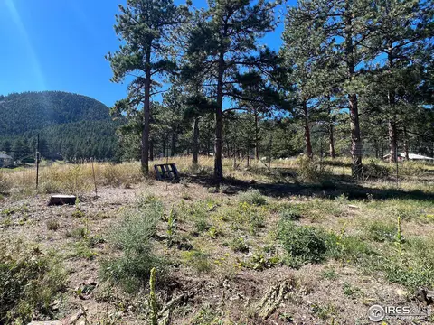 545 Pinewood Dr, Lyons, CO 80540 photo 29