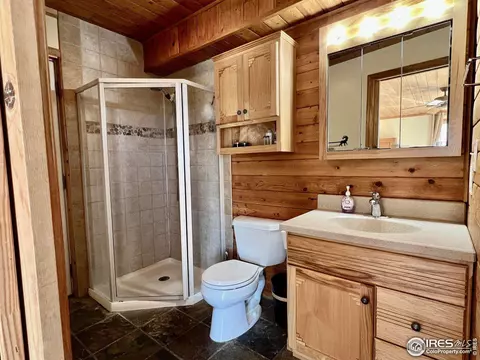 545 Pinewood Dr, Lyons, CO 80540 photo 21