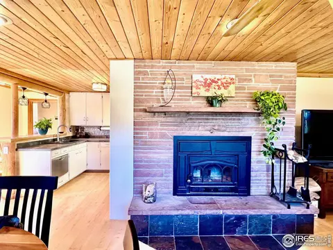 545 Pinewood Dr, Lyons, CO 80540 photo 6