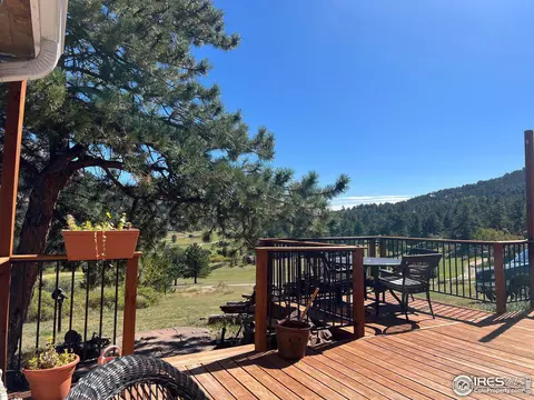 545 Pinewood Dr, Lyons, CO 80540 photo 28