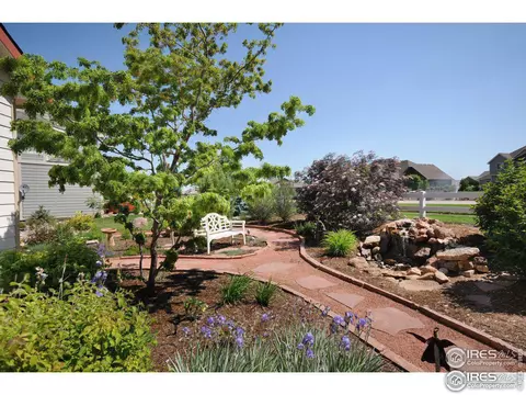 5293 Reef Ct, Windsor, CO 80528 photo 26