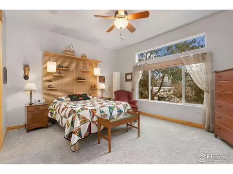 5293 Reef Ct, Windsor, CO 80528 photo 15