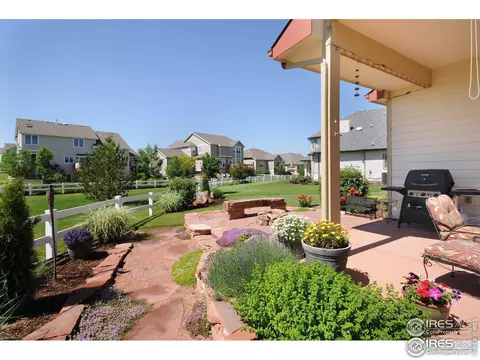 5293 Reef Ct, Windsor, CO 80528 photo 25